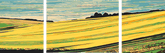 Painting by Numbers Agriculture - 3-Panel (Triptych)