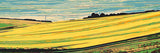 Painting by Numbers Agriculture