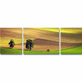 Painting by Numbers Triptych Agriculture