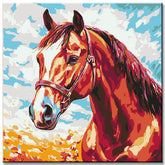 Painting by Numbers Horse Animals