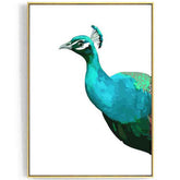 Painting by Numbers Peacock