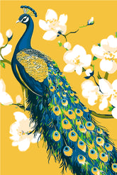 Painting by Numbers Peacock