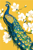 Painting by Numbers Peacock