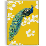 Painting by Numbers Peacock