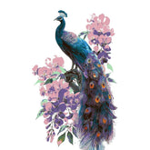 Painting by Numbers Peacock