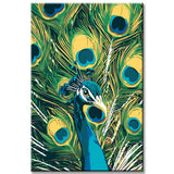 Painting by Numbers Peacock Feathers
