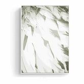Painting by numbers White feathers