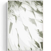 Painting by Numbers Feathers White