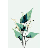 Painting by Numbers Plants