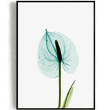 Paint by Numbers Flower