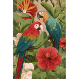 Painting by Numbers Animals Parrots Flowers