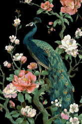 Painting by Numbers Animals Peacock Flowers