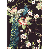 Painting by Numbers Animals Peacock Flowers