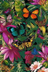Painting by Numbers Butterflies and Flowers