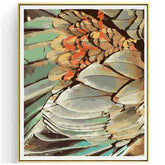 Paint by Numbers Feathers