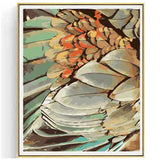 Paint by Numbers Feathers