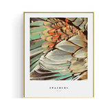 Paint by numbers feathers