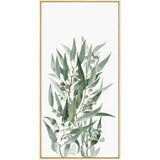 Paint by Numbers Eucalyptus