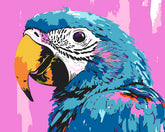 Paint by Numbers Parrot Blue