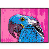Paint by Numbers Parrot Blue
