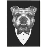 Painting by Numbers Dog with Glasses Black and White