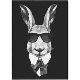 Painting by Numbers Bunny Cool