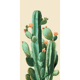 Painting by Numbers Cacti Ordinary