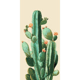 Painting by Numbers Cacti Ordinary