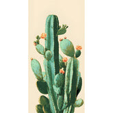 Painting by Numbers Cacti Ordinary