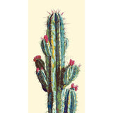 Paint by Numbers Cactus 3