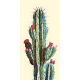 Paint by Numbers Cactus 3