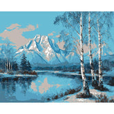 Painting by Numbers Mountain Snow