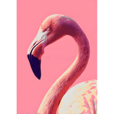 Painting by Numbers Flamingo Portrait