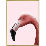 Painting by Numbers Flamingo Portrait