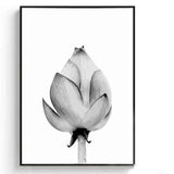 Painting by Numbers Flower Black and White