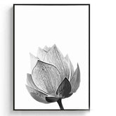 Painting by Numbers Flower Black and White