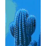 Paint by Numbers Cactus