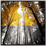 Paint by Numbers Deciduous forest SS-499