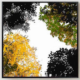 Paint by Numbers Deciduous forest