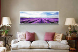 Painting by Numbers Lavender Fields