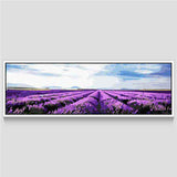 Painting by Numbers Lavender Fields