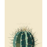 Paint by Numbers Cactus