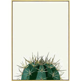 Paint by Numbers Cactus