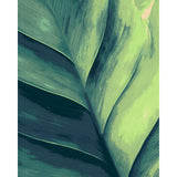 Paint by Numbers Plant