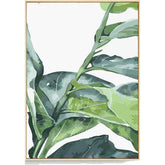 Paint by Numbers Plant