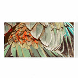 Paint by numbers feathers