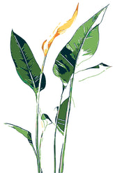 Paint by Numbers Plant