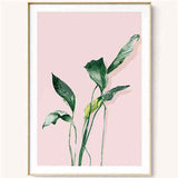 Paint by Numbers Plant