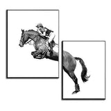 Painting by Numbers Duo Show Jumper with Horse