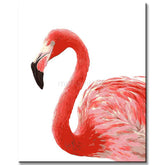 Paint by Numbers Flamingo